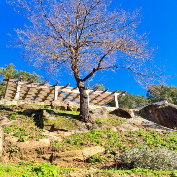 Paiva Valley Alvarenga Exterior foto